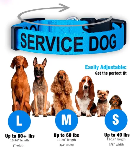 Vista 3 de Native Pup Collares para perros de servicio (S, azul)