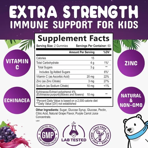 Vista 2 de Gomitas de apoyo inmunológico para niños, suplemento de apoyo inmunológico con vitamina C, zinc y equinácea, gomitas diarias de apoyo a la salud