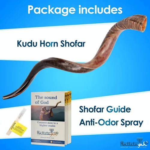 Vista 6 de HalleluYAH Shofar kudu medio pulido Kosher original de Israel