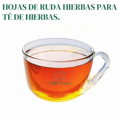 Vista 2 de RUE Hierbas Secas Ruda Seca, Ruda Graveolens, hojas y ramas de ruda Hojas Secas de Ruda (Ruta graveolens) Ingrediente Herbal Crudo (2 Onzas)