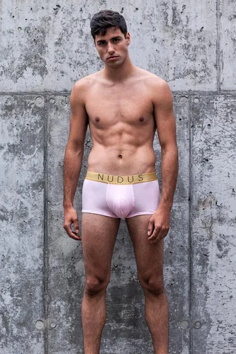 Vista 4 de NUDUS Ropa interior de bambú de 2 bolsas para hombre, paquete de 4 calzoncillos tipo caja de regalo, calzoncillos tipo bóxer