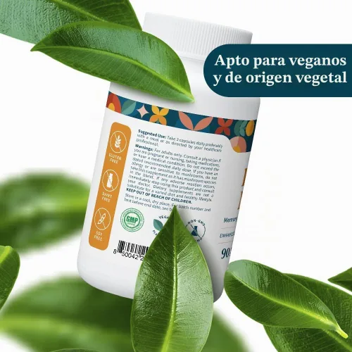 Vista 8 de Pattern Wellness Suplemento de hongos melena de león - 90 cápsulas veganas Cápsulas de suplemento para apoyo cognitivo y de enfoque: absorción