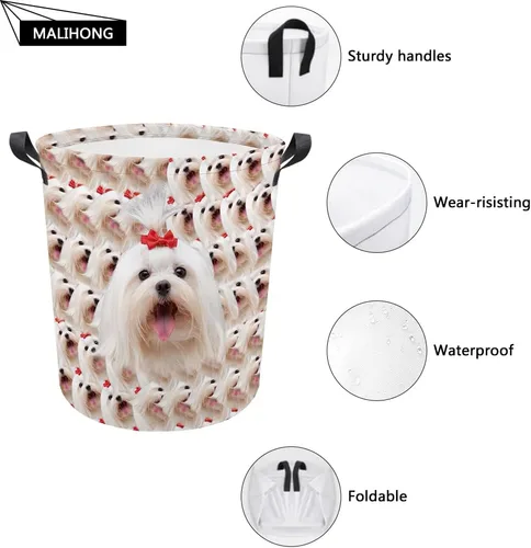 Vista 3 de Cesta plegable con estampado de perro, lindo Cavalier King Charles Spaniel Sandía con asa, caja de juguetes, bolsa de almacenamiento