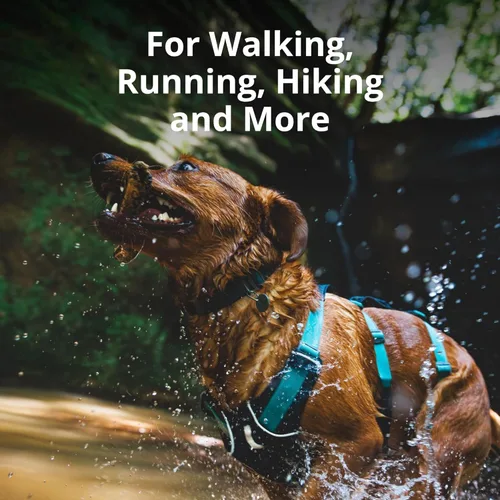 Vista 3 de Ruffwear, Arnés para Perro Flagline, Ligero y Reflectante, Arnés de Elevación para Perro Sin Tirones para Senderismo, Correr y Uso Diario, Rosa