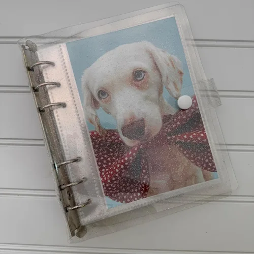 Vista 7 de Álbum de Fotos de Cabina de Fotos 2x6 - Cuaderno con Purpurina de 6 Anillos Carpeta Brillante con 20 Fundas para Fotos de 2 por 6 - Se Adapta a 80