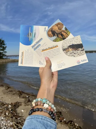Vista 3 de Fahlo Pulsera de seguimiento de tortuga marina, elástica, soporta la conservación de tortugas marinas, talla única para hombres y mujeres, Piedra