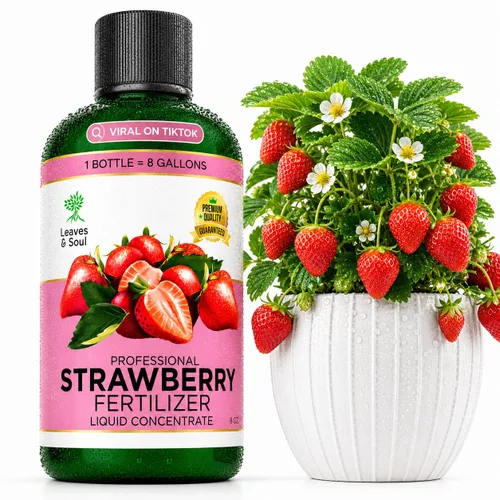Vista 15 de Leaves & Soul Evergreen Tree Fertilizer, 6-4-6 Liquid Evergreen Food 8 oz Árbol de hoja perenne