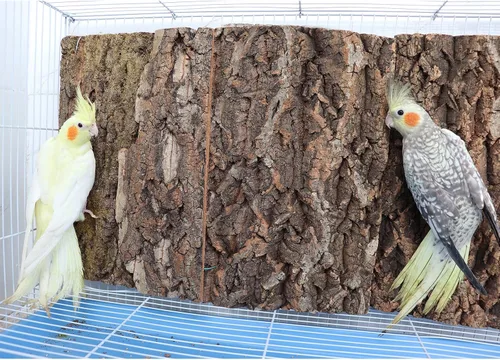 Vista 5 de Paquete de 2 perchas de corcho 100% natural de 12 x 8 pulgadas, tablas de asiento de corcho para pájaros, accesorios de decoración de corteza
