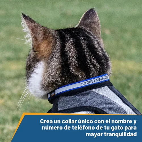 Vista 2 de GoTags Personalized Reflective Cat Collars, Engraved Custom Cat Collar Negro