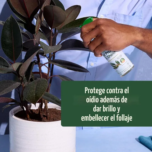 Vista 9 de Miracle-Gro Paquete de cuidado de plantas de interior para cultivar