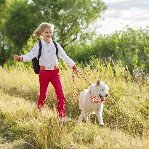 Vista 3 de Tunkoo Collar de otoño para perro con elegante pajarita, duradero, ajustable y elegante collar de otoño para mascotas, disponible en tamaño pequeño