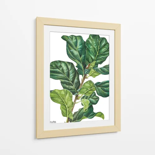 Vista 10 de Canvas Lab Lienzo decorativo para pared, Fiddle Ficus Lyrata del artista Blanca Aurora – Tamaño: 12 x 16 pulgadas – Tema: botánico, naturaleza