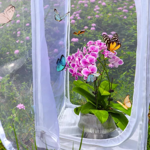 Vista 8 de Jaula grande de mariposa monarca de 30 pulgadas, hábitat de malla plegable resistente con protector de cremallera, recinto desplegable al aire libre