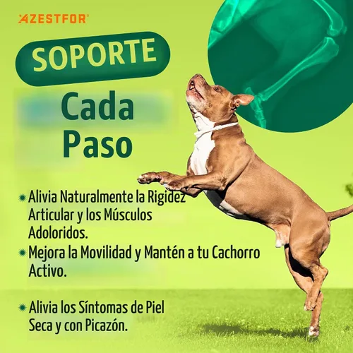 Vista 3 de Azestfor Mejillón de labios verdes antiinflamatorios para perros en polvo