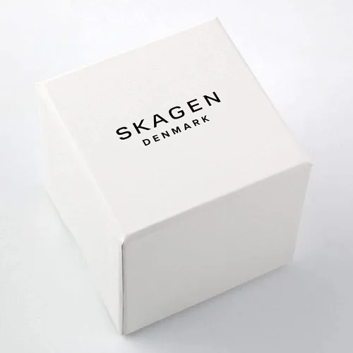 Vista 8 de Skagen SKW6007 - Reloj para hombre con esfera gris