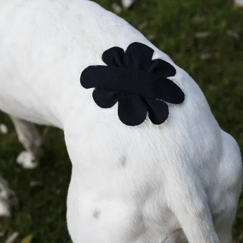 Vista 7 de VETKIN VetkinTape - Cinta de kinesiología canina y equina Cinta médica veterinaria Envoltura veterinaria para apoyo articular y cuidado de Negro