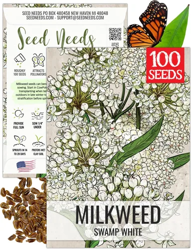Vista 23 de Seed Needs Semillas de algodoncillo de mariposa naranja para mariposas monarca, 1 paquete