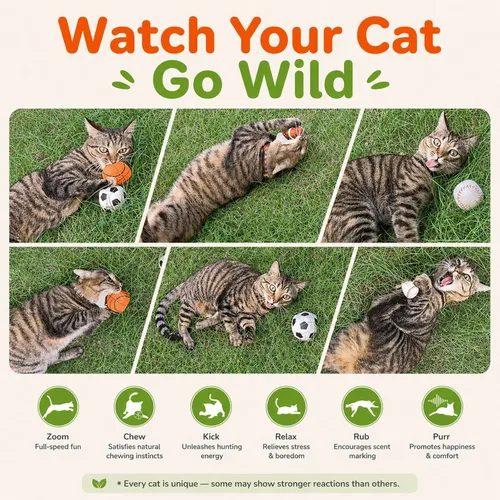 Vista 3 de Agape Juguetes para gatos 100% rellenos de hierba gatera y vid plateada, bolas interactivas para masticar y patear para gatos