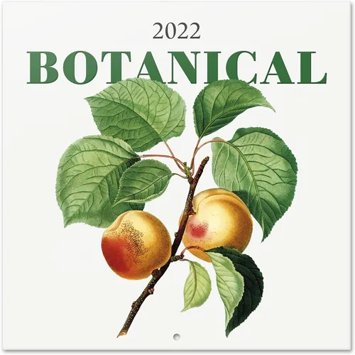 Vista 5 de Calendario de pared oficial de cocina 2022, calendario 2022, calendario de pared cuadrado de 12 x 12 pulgadas 2022, calendario familiar 2022