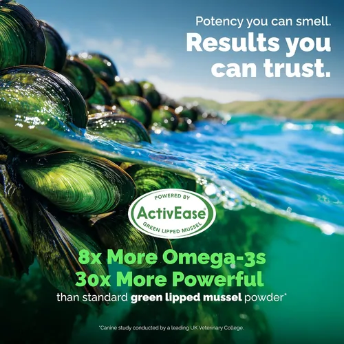 Vista 6 de YuMOVE Suplemento para articulaciones para perros mayores Glucosamina y Mejillón de labios verdes, glucosamina, ácido hialurónico y Omega 3
