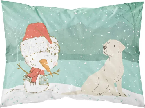 Vista 65 de Caroline's Treasures BB7625PILLOWCASE - Funda de almohada decorativa de tela con texto en inglés "Welcome Friends" Airedale Terrier estándar