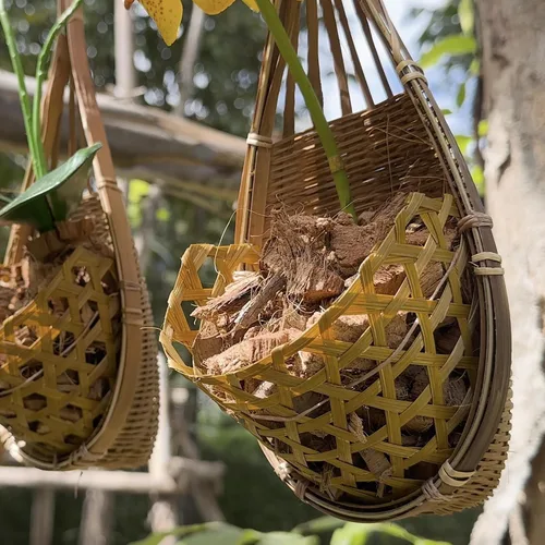 Vista 6 de cesta colgante de orquídea hecha a mano 100% de bambú tailandés – 4 pulgadas, juego de 3