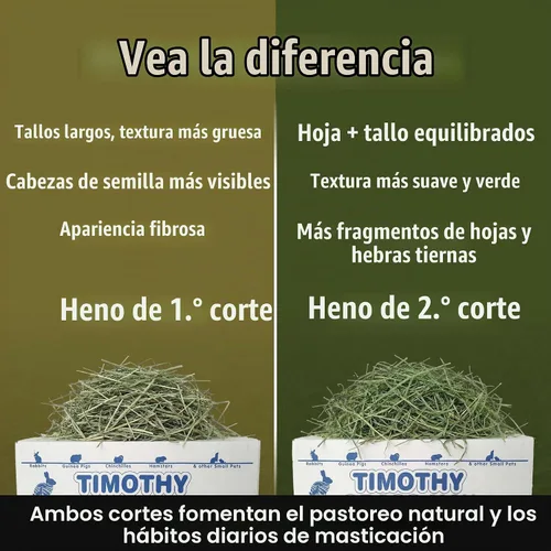 Vista 3 de High Desert - Heno Timothy de primera corte para conejos, cobayas, mascotas pequeñas, 4 libras