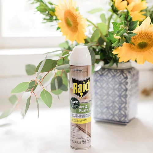 Vista 5 de Raid Ant and Roach Killer Aerosol con aceites esenciales (11 onzas (paquete de 2))