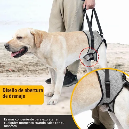 Vista 7 de Arnés de elevación para perros, arnés de soporte para patas traseras, arnés de soporte trasero ajustable, color gris, pequeño