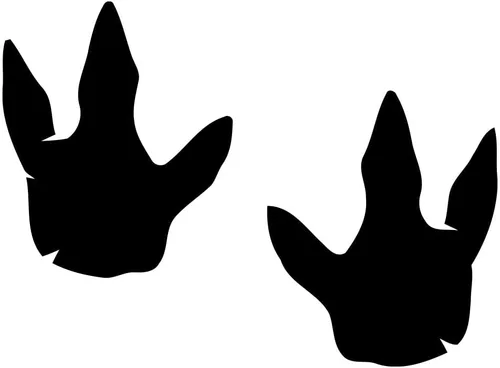 Vista 4 de Calcomanías de vinilo de huellas de dinosaurio de Allosaurus – Calcomanías de huellas de dinosaurios de huellas de dinosaurio – Dinosaurio