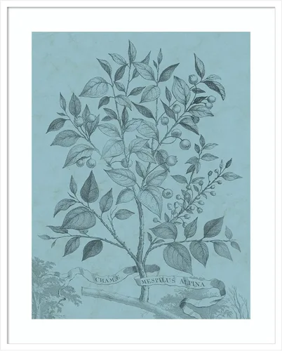 Vista 8 de Amanti Art Vision Studio - Póster enmarcado de 24 x 20 pulgadas, diseño botánico en V verde azulado por Vision Studio, arte de pared de naturaleza