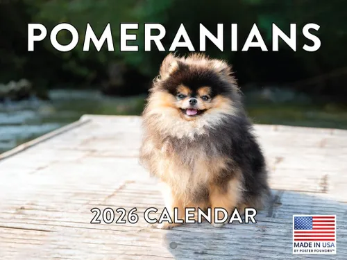 Vista 40 de Calendario mensual de pared Airedale Terrier Dog 2027 rojo (Airedale Terrier)