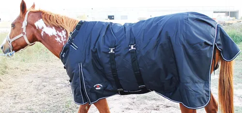 Vista 3 de 1200d atuendo impermeable para caballo rígido, manta de invierno pesada, Bellyband Negro