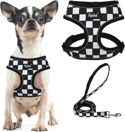 Vista 47 de PUPTECK Juego de arnés y correa de malla suave para perro, cachorro y gato, cómodo chaleco acolchado sin tirones, azul Pascua, S