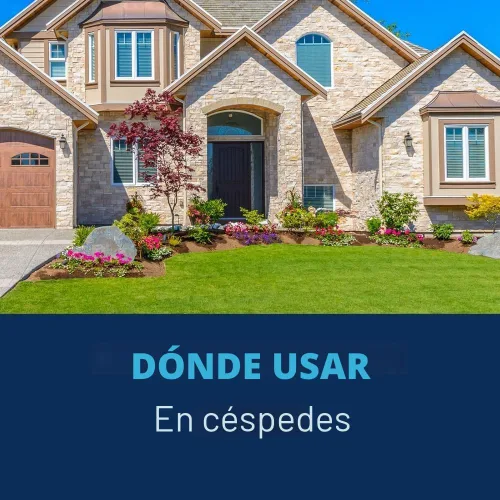 Vista 5 de BioAdvanced Control de Hongos para Césped en Gránulos, 10 libras Cura y previene enfermedades del césped – Protección de hasta 1 mes – Cubre 5,000