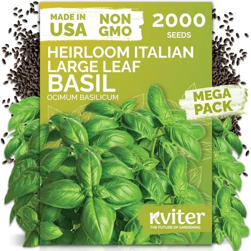 Vista 12 de KVITER 1000 semillas de quinua de cordero (Chenopodium Album) - Hierbas comestibles autóctonas, ideales para jardines de hierbas orgánicas