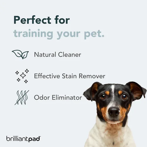 Vista 3 de BrilliantPad TidyShot - Spray eliminador de manchas y olores para mascotas