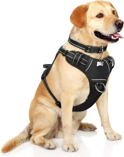 Vista 36 de Arnés para perro sin tirones, arneses para mascotas con collar, chaleco Oxford reflectante y ajustable, hebillas delanteras y traseras para correa