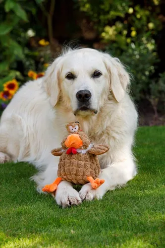 Vista 4 de Petface Farmyard Buddies - Juguete grueso para perros de pollo