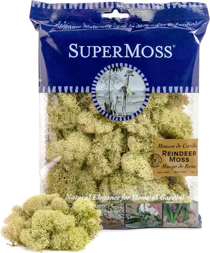 Vista 16 de Super Moss (23164) Musgo de reno preservado, fucsia, 2 onzas Musgo preservado suave, decoración del hogar, manualidades y terrarios, diseño
