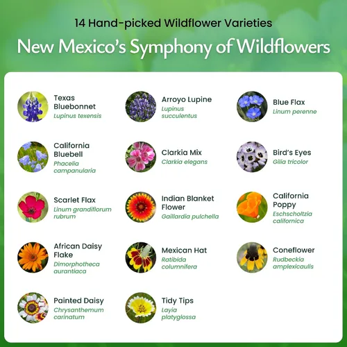 Vista 3 de Mezcla de semillas de flores silvestres de Nuevo México, cubre 325 pies cuadrados, 14 variedades de flores, más de 30,000 semillas, Created By Nature