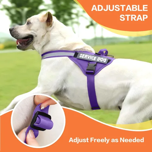 Vista 6 de MUMUPET Arnés para perro, chaleco reflectante sin tirones, arnés transpirable ajustable para mascotas con asa para caminar al aire libre, no más