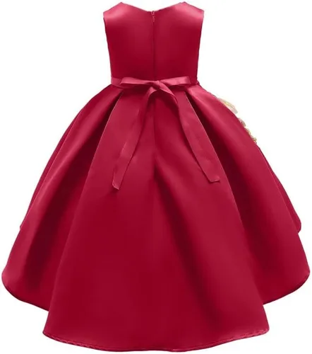 Vista 3 de DSFEOIGY - Vestido bordado para niña, vestidos de fiesta para niña, vestidos de baile, disfraz de rendimiento