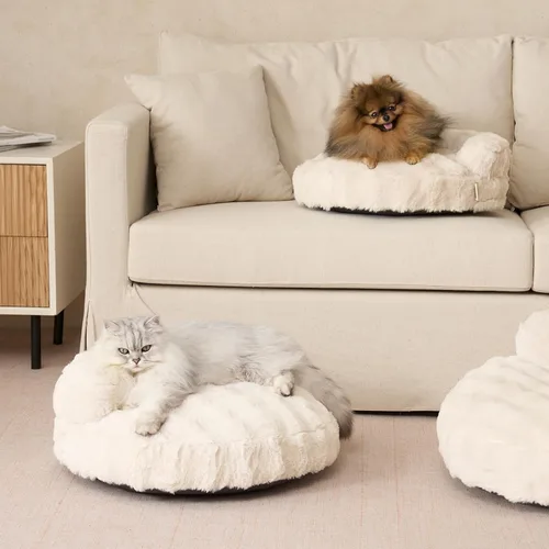 Vista 9 de EHEYCIGA Sofá cama suave para gatos de interior, cama extra pequeña esponjosa para perros con funda extraíble lavable, sofá para mascotas, Crema