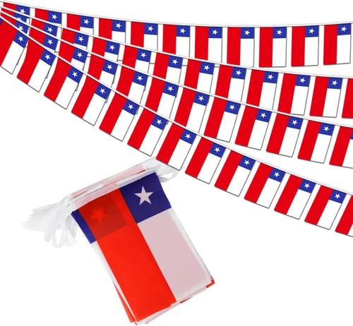 Vista 18 de Bandera de cuerda de calidad premium de 95 pies con 100 países - Banderines internacionales vibrantes perfectos para decoraciones de fiesta, bares