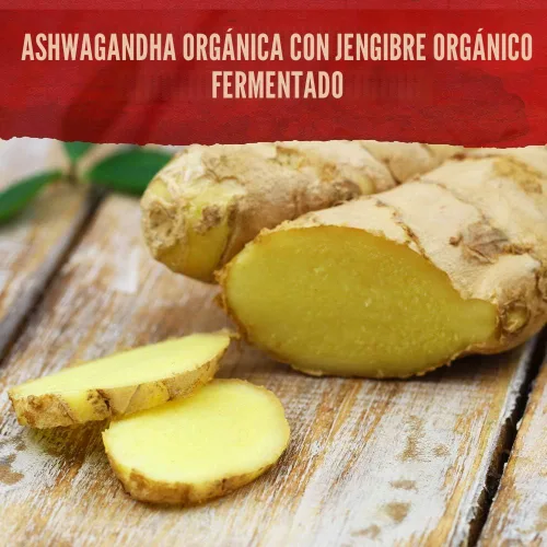 Vista 4 de Garden of Life Suplemento orgánico de Ashwagandha con probióticos y jengibre, apoyo para el estrés, el estado de ánimo y la energía, vegano, sin