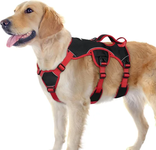 Vista 52 de rabbitgoo Arnés de perro a prueba de escape para pequeños, sin tirones con Negro