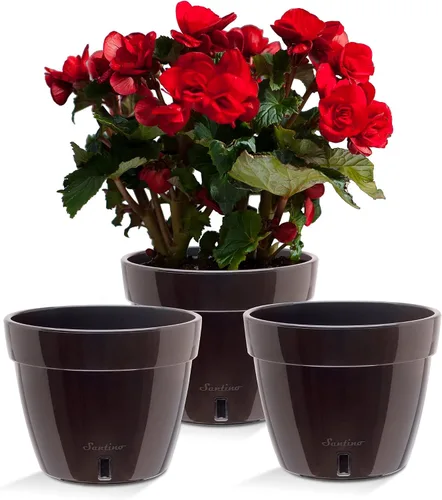 Vista 3 de Santino Macetas de 4.9 Pulgadas ORCHIDEA de Riego Automático para Orquídeas en Grafito - Maceta Decorativa para Sembrar con Excelente Aireación