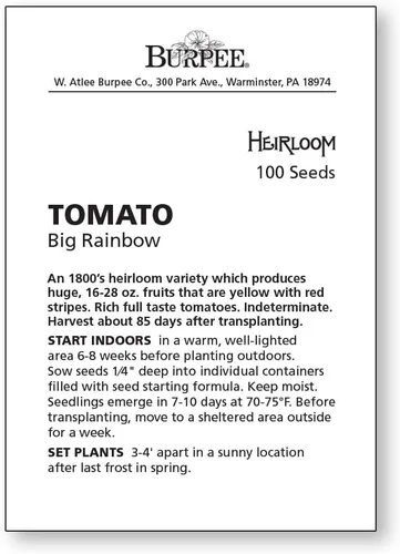 Vista 6 de Burpee 'Big Rainbow' Heirloom, Tomate Grande Beefsteak para Rebanar, 100 Semillas Sin OGM