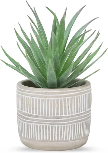 Vista 2 de Der Rose Paquete de plantas suculentas falsas y 2 paquetes de plantas falsas para decoración de mesa, escritorio, hogar, baño, oficina